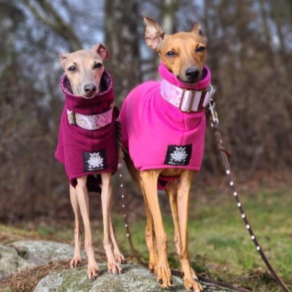 Italian Greyhound Fleece Coat - Main Image