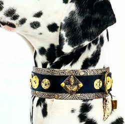 Perro Buda Paisley Collar - BARCELONAS