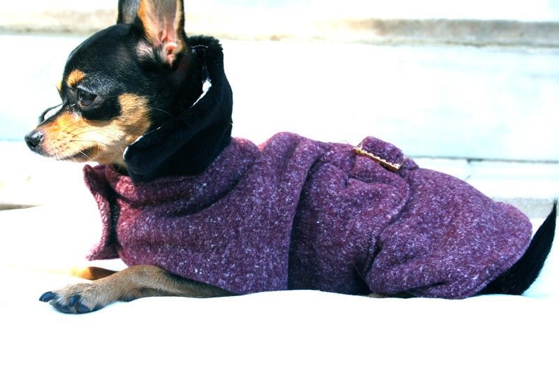 Abrigo de perro color ciruela - BARCELONADOGS