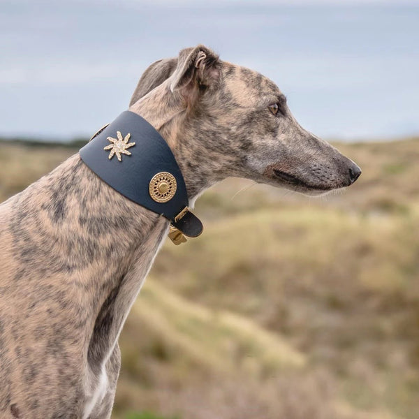 Estrella Galgo Collar  - BARCELONADOGS