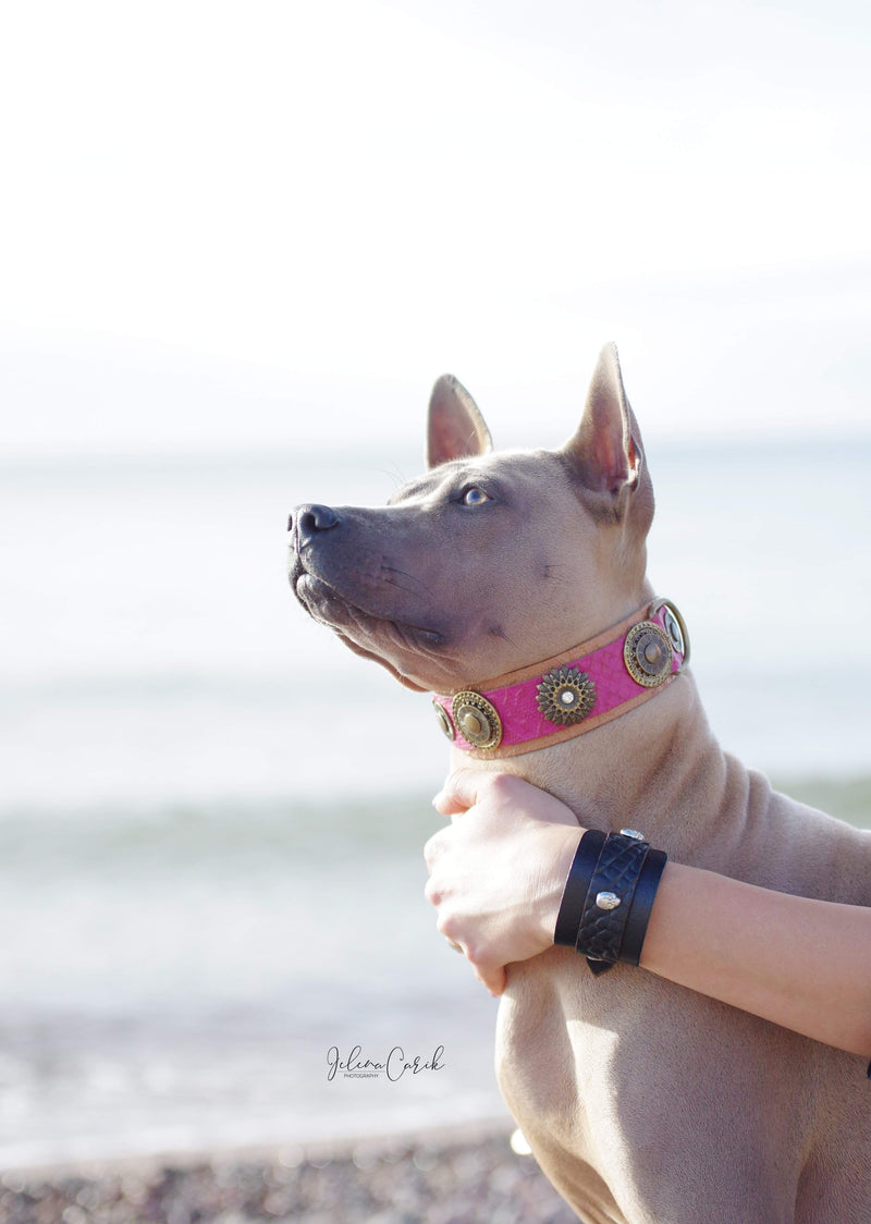 Pulsera de Buda Coñac Brown Snake - BARCELONADOGS