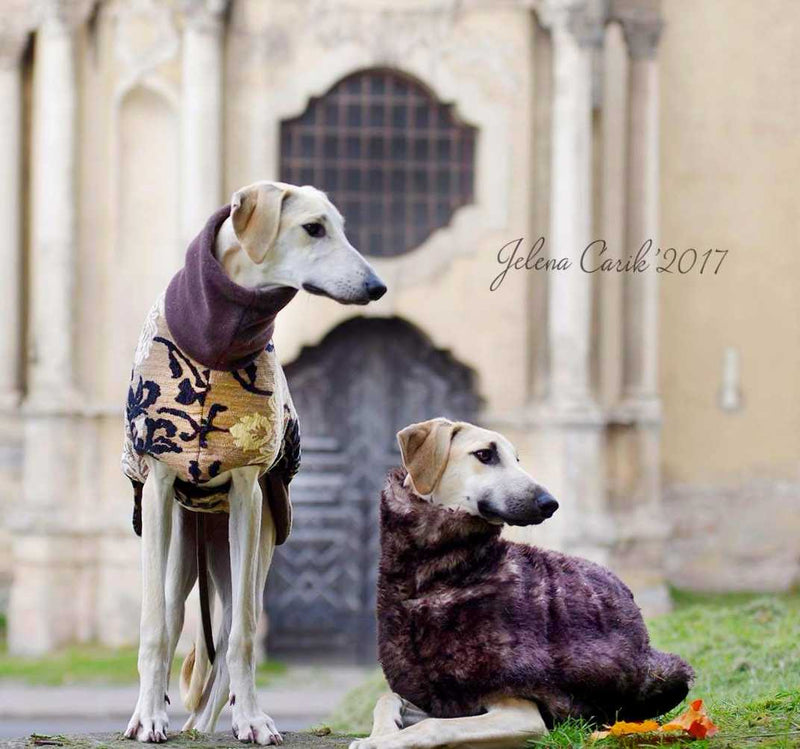 Abrigo para perro de alta costura Brocade - BARCELONADOGS