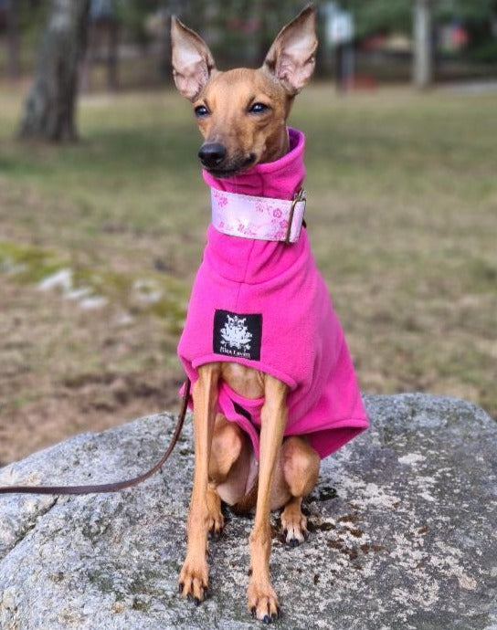 Abrigo de lana de galgo italiano