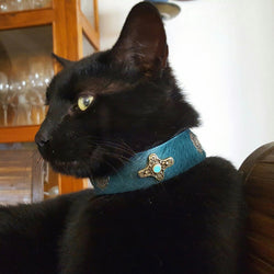 Gato de la Cruz Medieval Collar - BARCELONADOGS