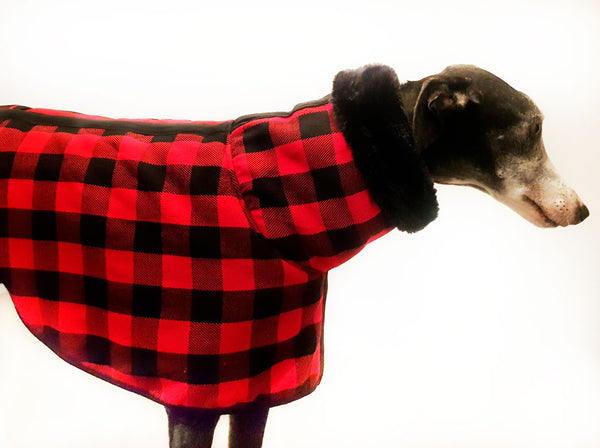 Abrigo de Galgo Buffalo Plaid