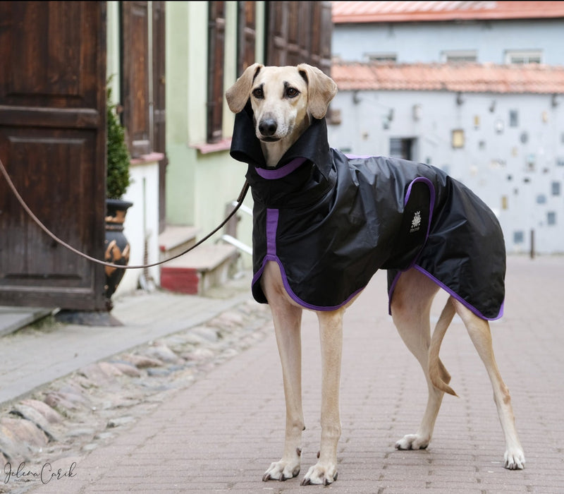 NUEVO Chubasquero deportivo y elegante