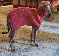 Suéter rojo para perros