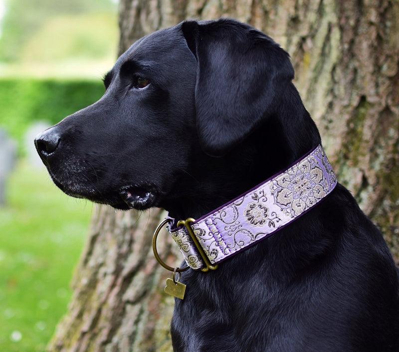 Extra Bred Martingale (28-50 cm) - BARCELONADOGS