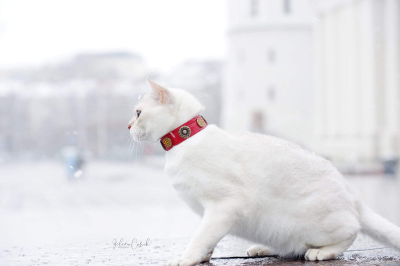 Olympia Katt halsband