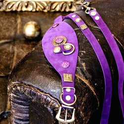 Legend italiensk vinthund halsband - BARCELONADOGS