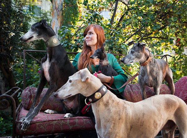 Klea Levin in The Guardian: Galgo rescue advocate