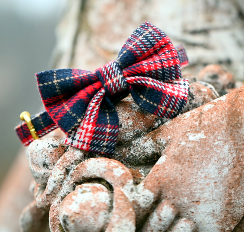 Nœud papillon tartan rouge