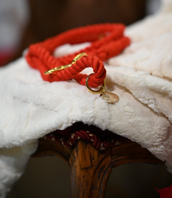 Laisse en corde pour chiens