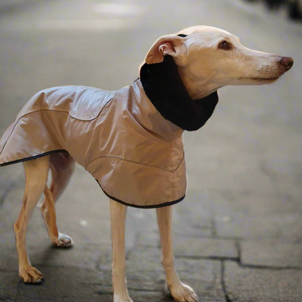 Abrigo urbano impermeable beige