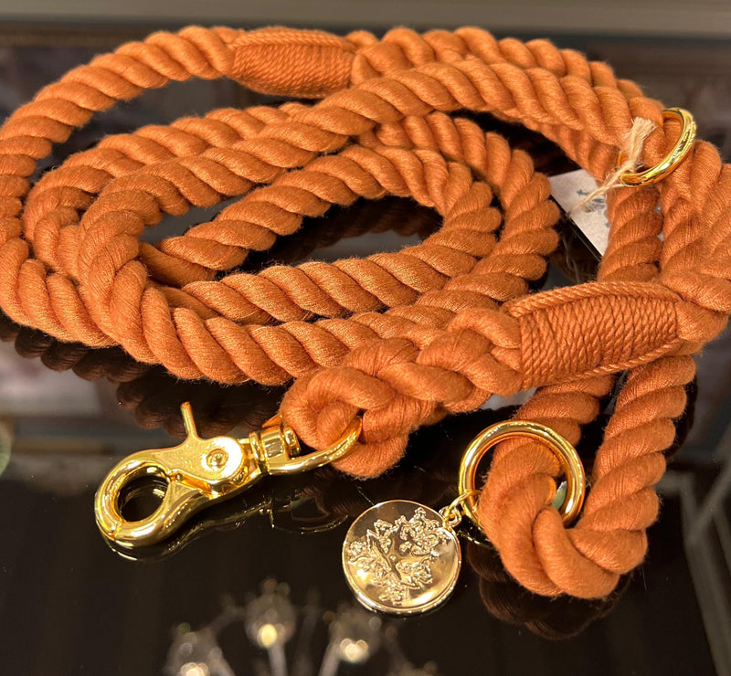 warm brown dog rope leash