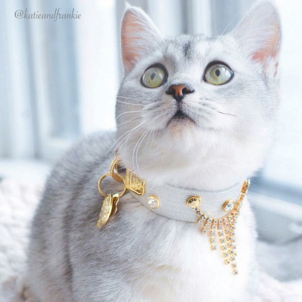 Cascade Cat Collar