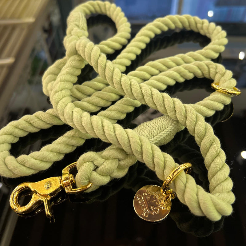 Rope leash for dogs