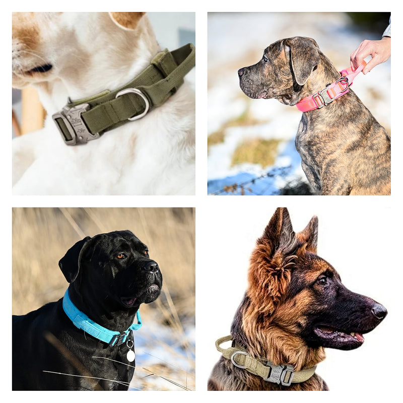 Arbetshund tygband