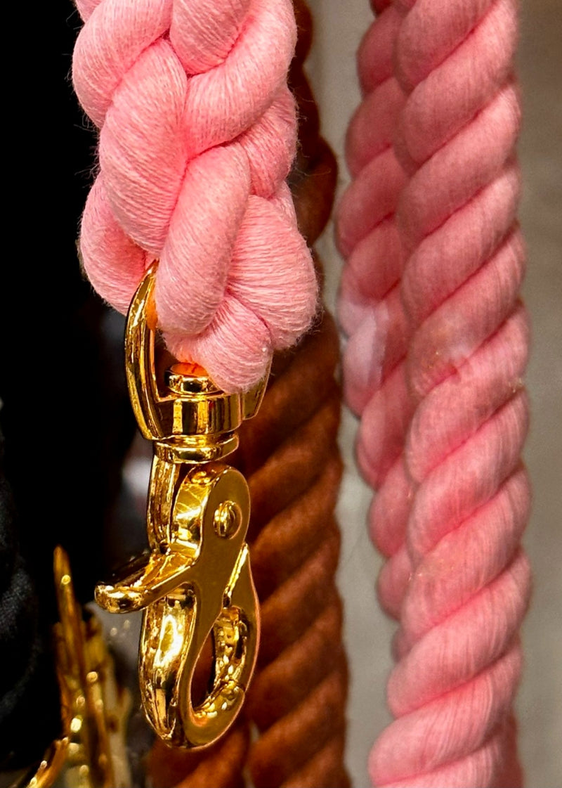 detail of medium gold hook for rope leash