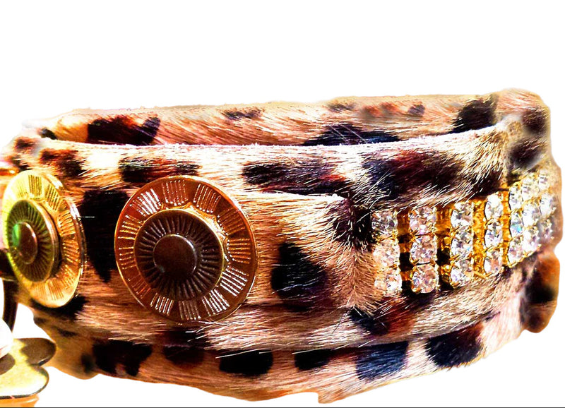 Collar para perro Masculino Zanzibar