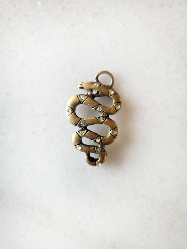 Charm de perro serpiente
