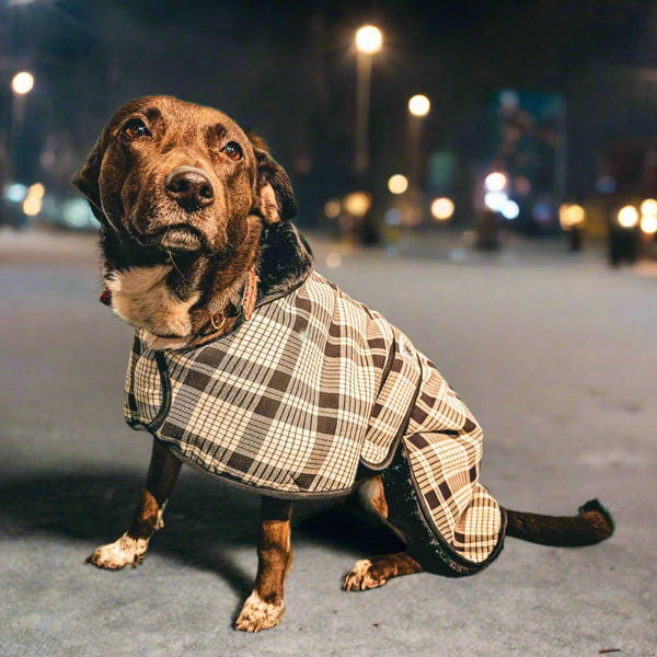 Negro blanco Tartán TODAS LAS RAZAS