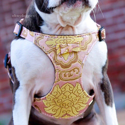 Seductive Harness in Silk - BARCELONADOGS