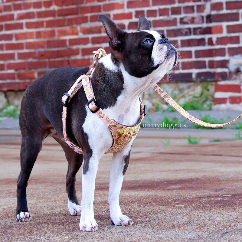 Seductive Harness in Silk - BARCELONADOGS