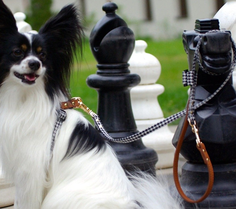 Leash for Luxury Harness - BARCELONADOGS