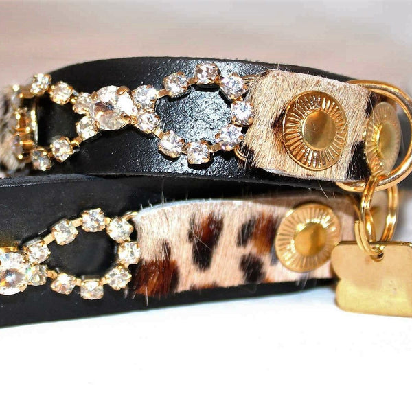 Roseta Tribal - BARCELONADOGS