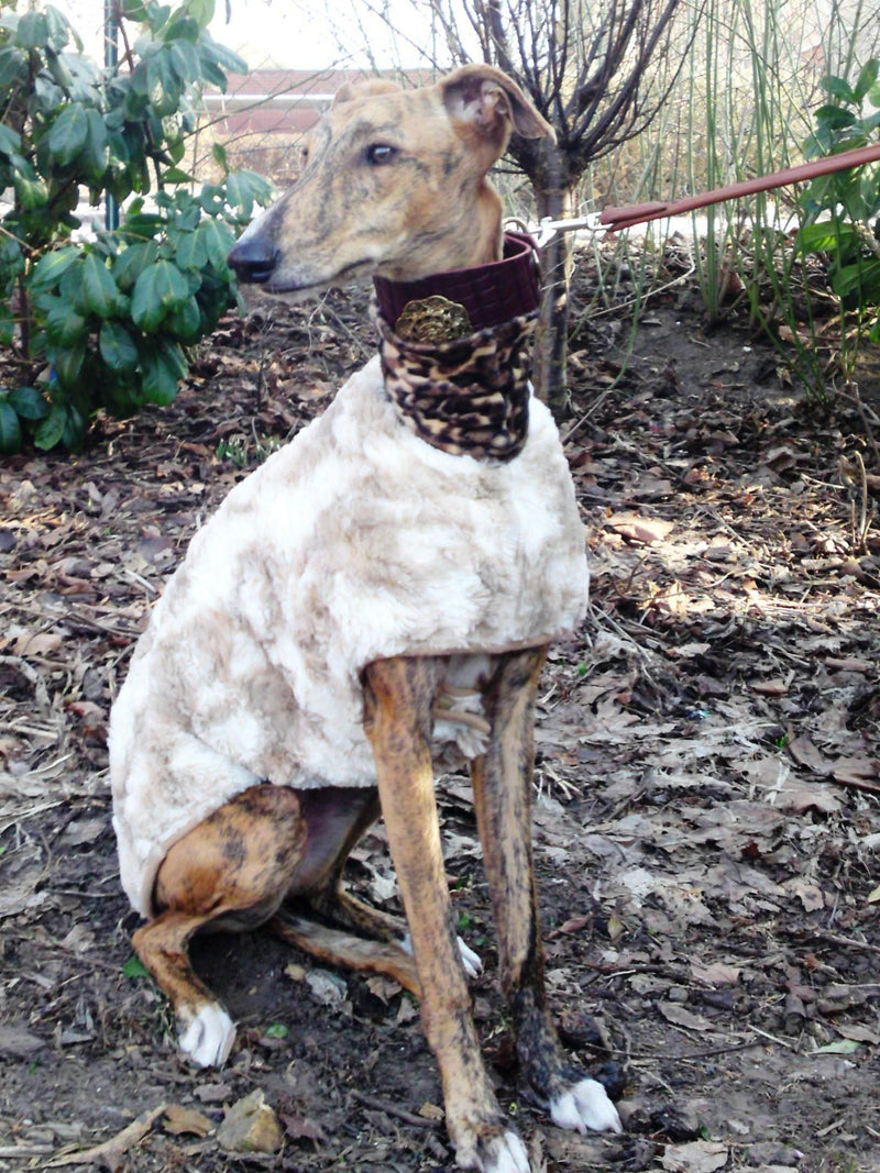 Faux Fur Beige Greyhound Coat - BARCELONADOGS