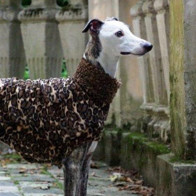 Leopard Dog Coat - BARCELONADOGS