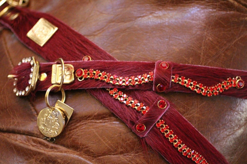 Serendipity Dog Collar - BARCELONADOGS