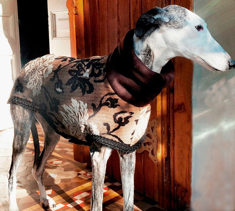 Haute Couture Brocade Dog Coat - BARCELONADOGS