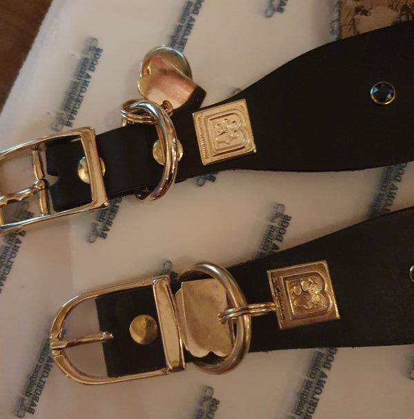 Collar para perro Dark Dakar