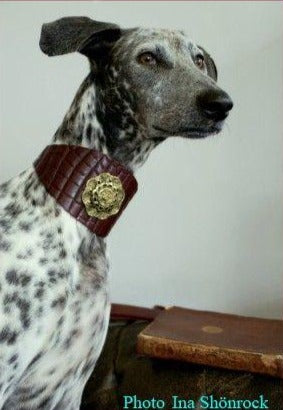 Antique Rose Sighthound Collar