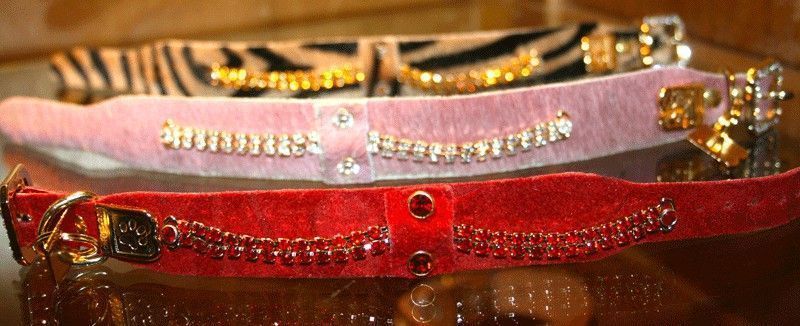 Serendipity Dog Collar - BARCELONADOGS