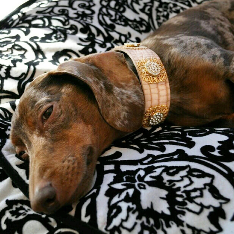 Beige croco snake Filigree Crystal Dog Collar - BARCELONADOGS