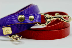 MATCHING LEASH REDUCED PRICE when you buy together with DOG COLLAR - BARCELONADOGS