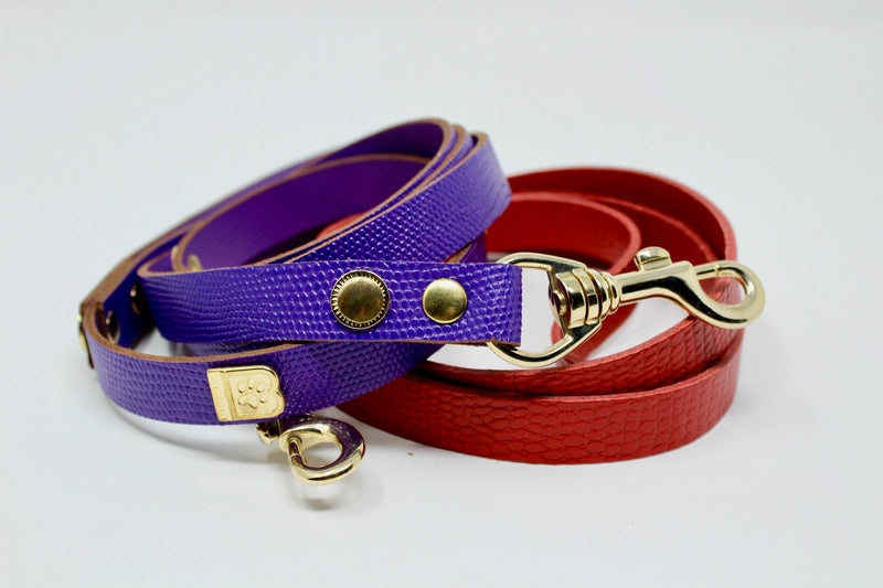 Dog Leash Collar Set Leather Dog Leash Matching Collar 