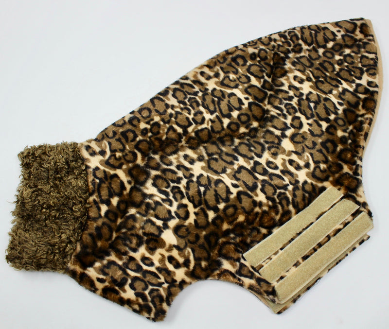 Leopard Sighthound shaped Dog Coat - BARCELONADOGS