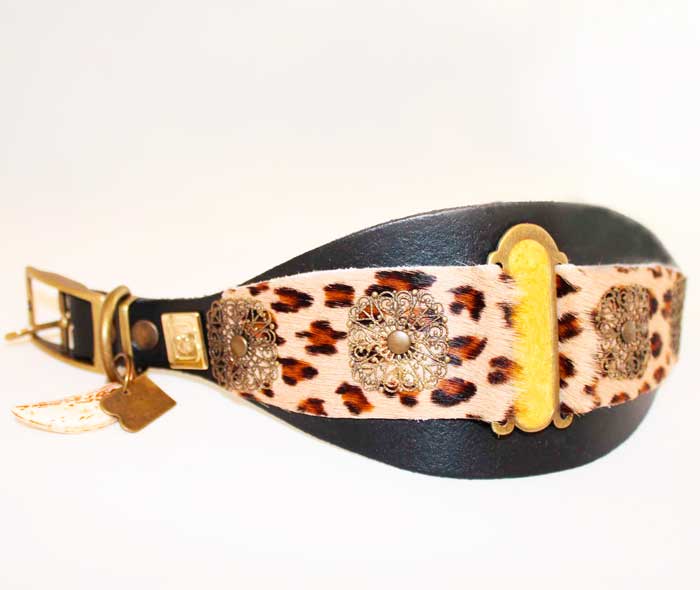 Lazaro Sighthound Collar - BARCELONADOGS