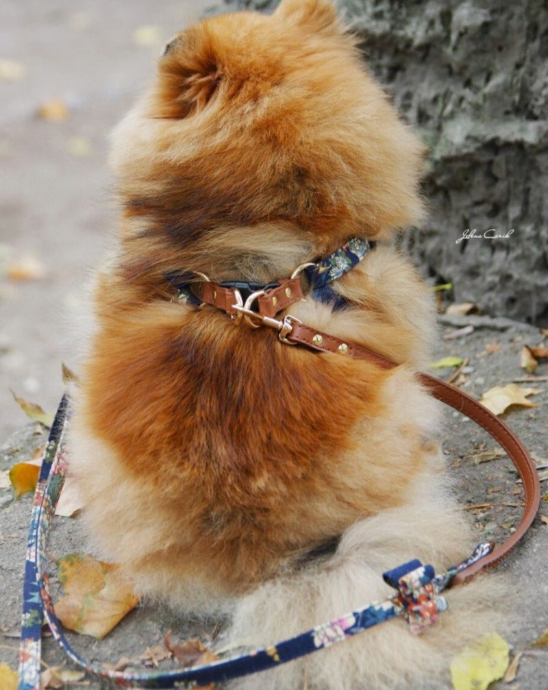 Leash for Luxury Harness - BARCELONADOGS