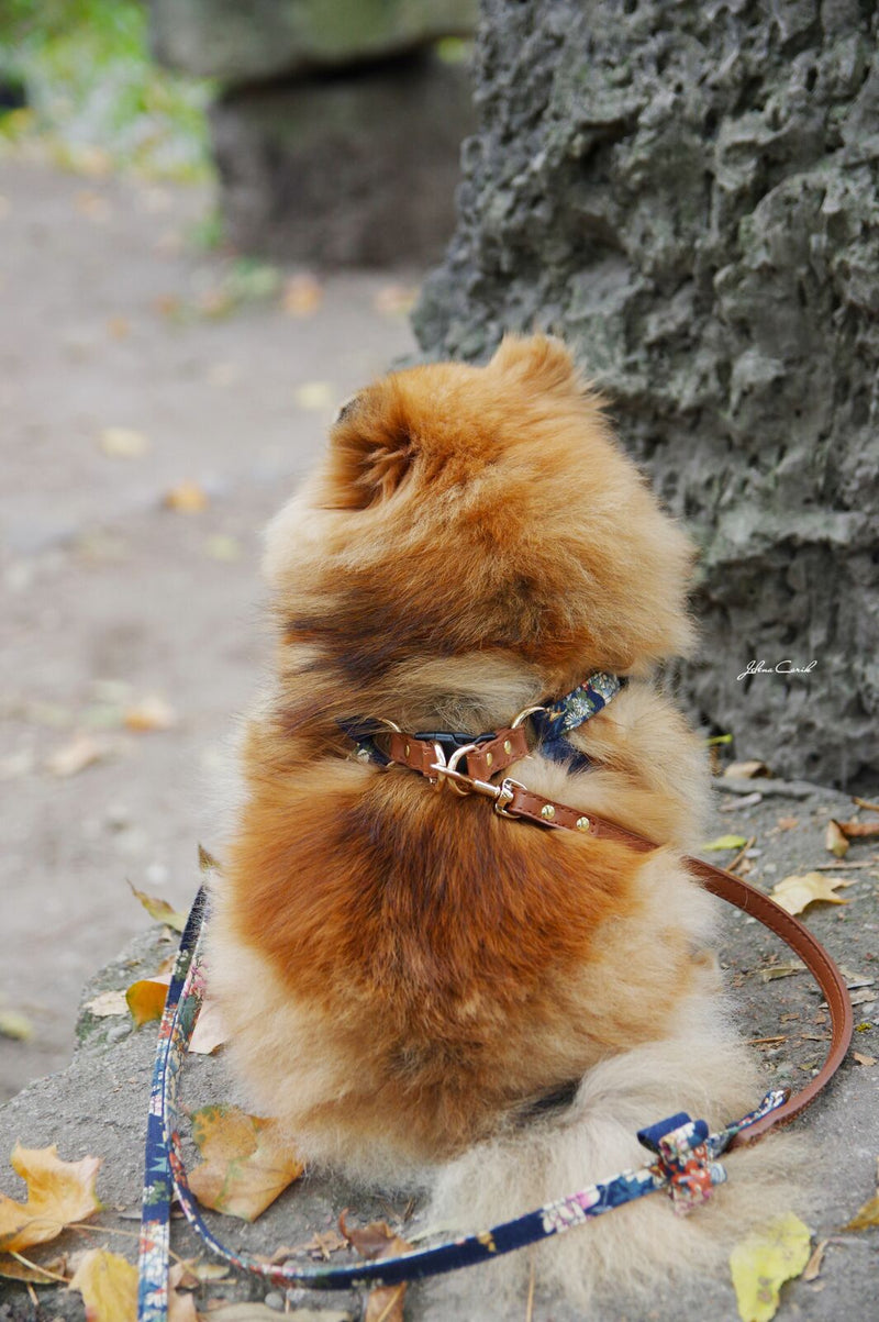 Tropical Navy Dog Harness - BARCELONADOGS