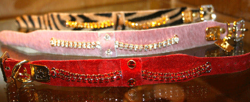 Serendipity Dog Collar - BARCELONADOGS