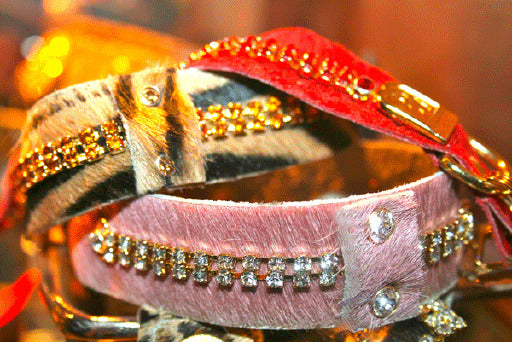 Serendipity Dog Collar - BARCELONADOGS