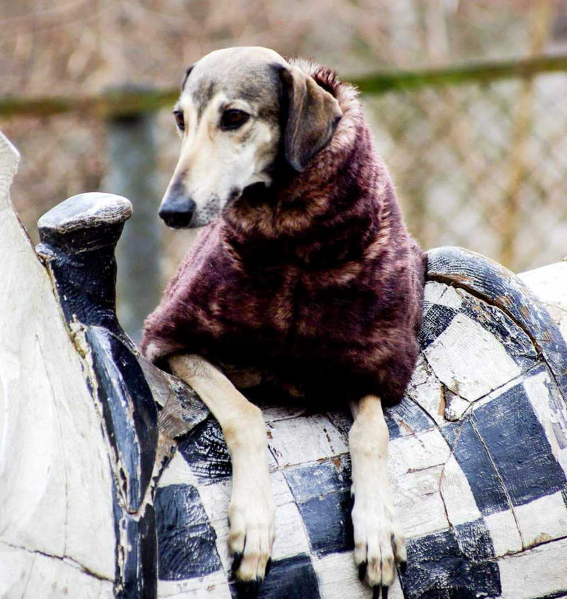 Faux Fur Sighthound Coat - BARCELONADOGS