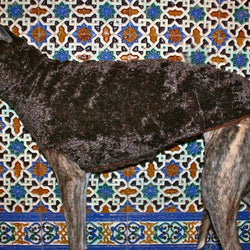 Chocolate Greyhound Coat - BARCELONADOGS