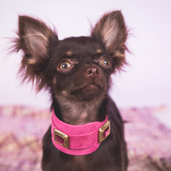 Amatista extra ancho