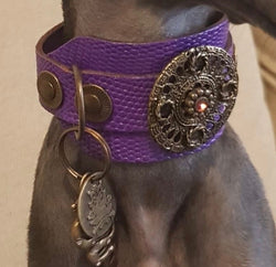 Basic Crystallized Dog Collar
